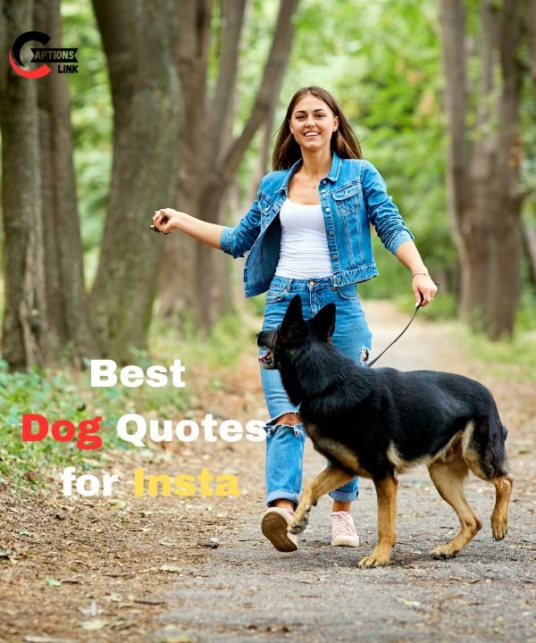 Dog Quotes
