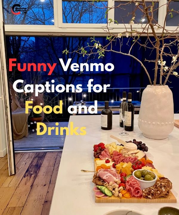 Funny Venmo Captions